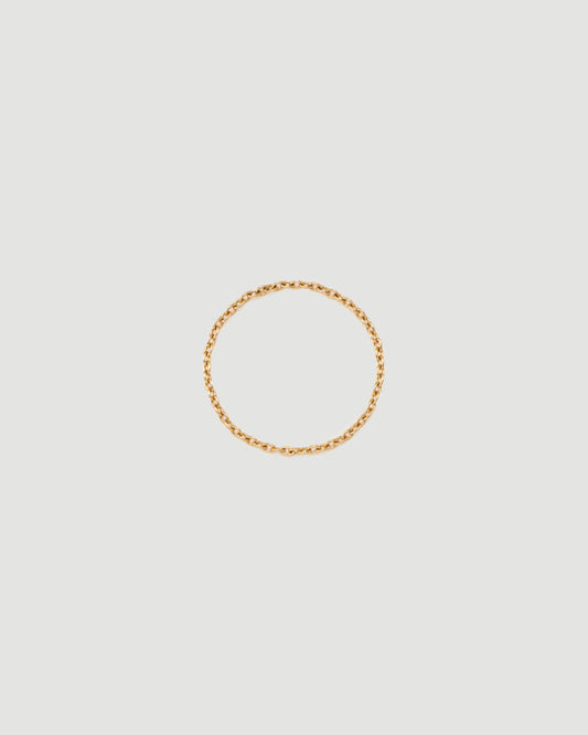 chain ring 02