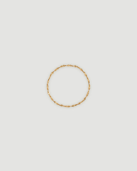 chain ring 01