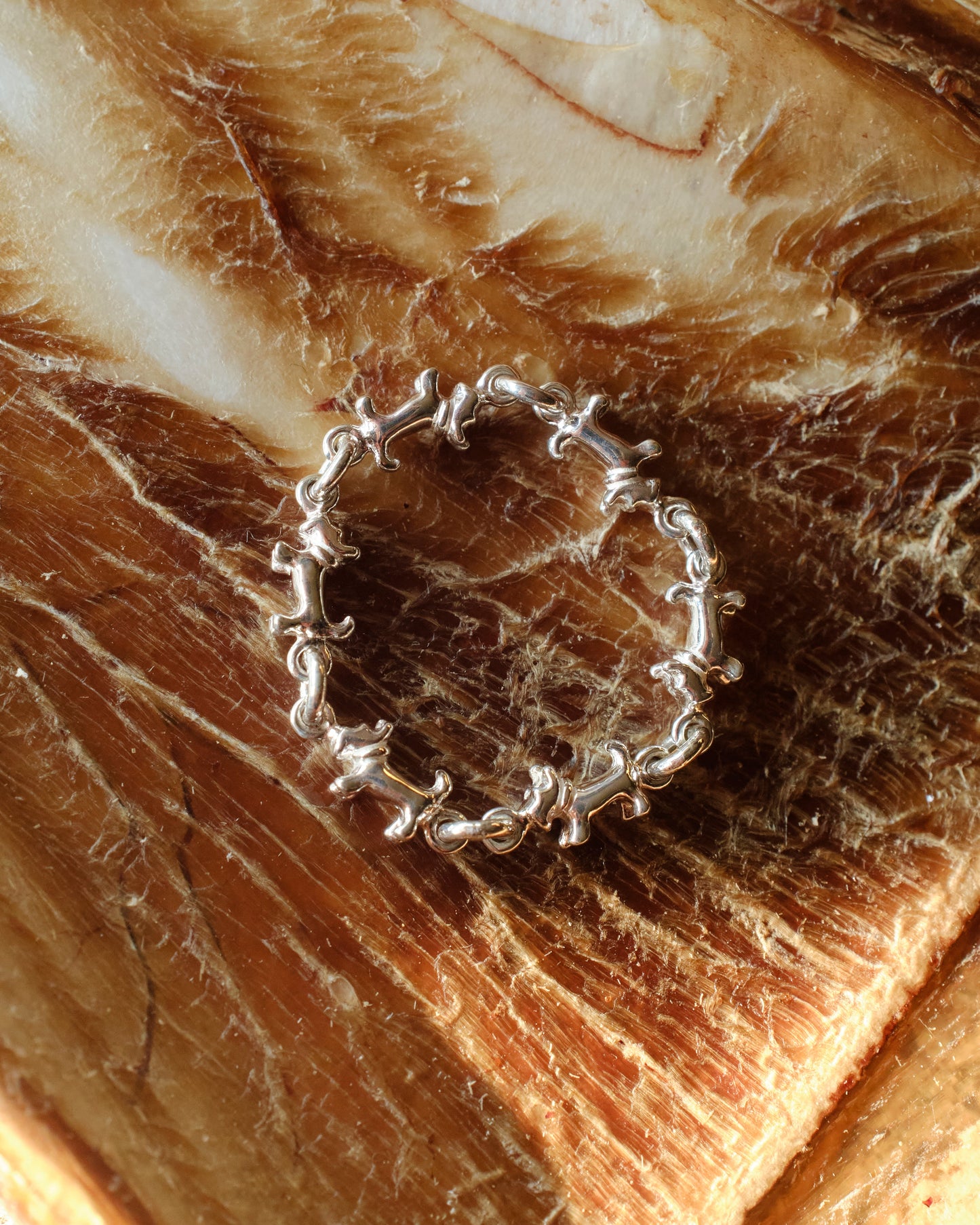 schnauzer chain ring