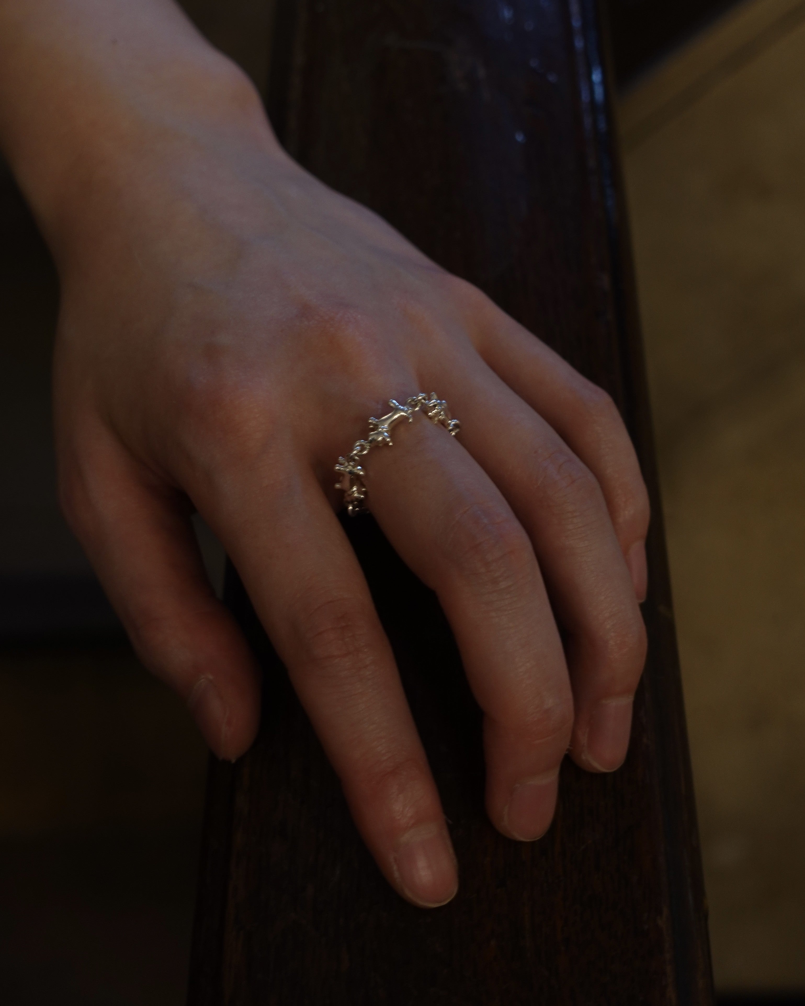 schnauzer chain ring