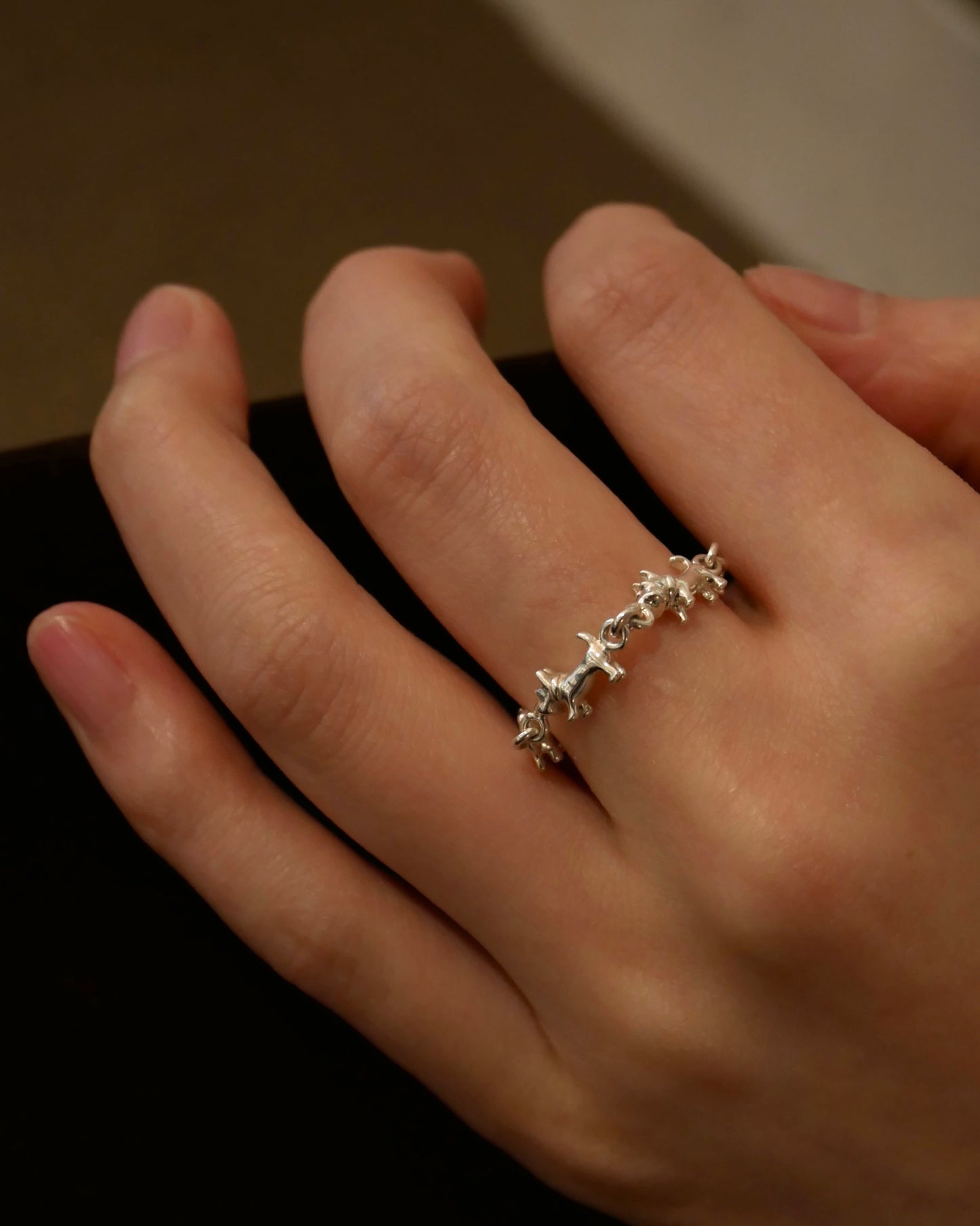 schnauzer chain ring